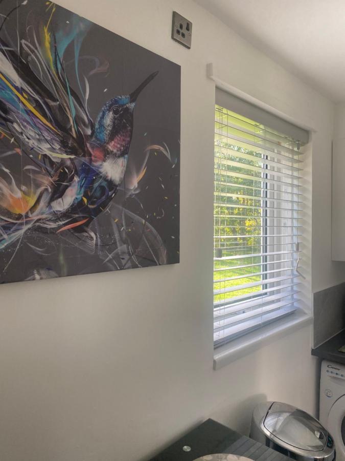 Cosy Studio Apartment Waterlooville Luaran gambar